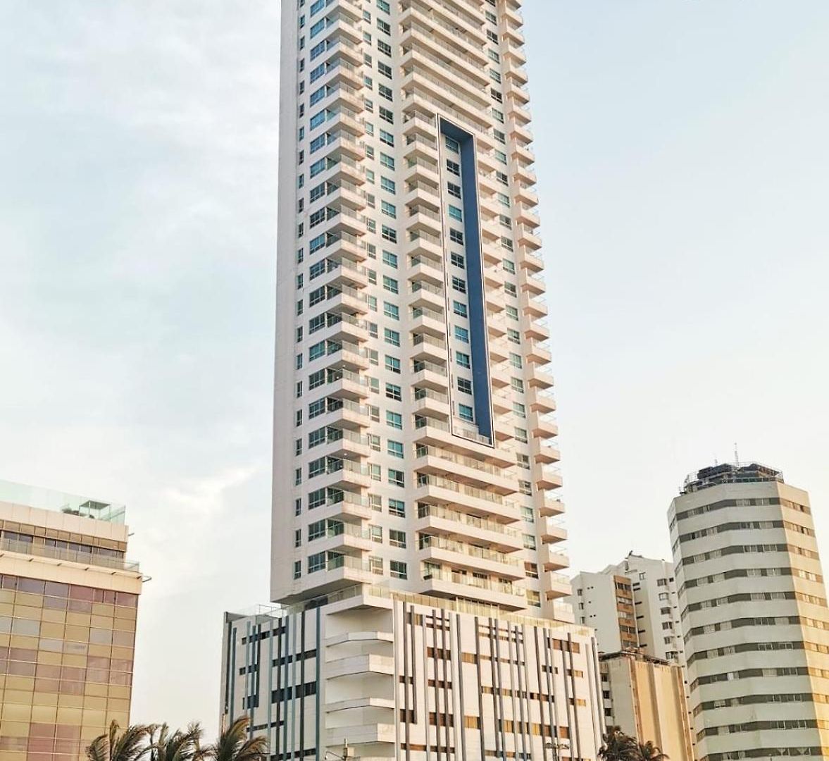 Palmetto Sunset Por Parceros Group *